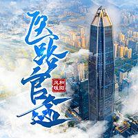 医路官途