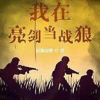 我在亮剑里当战狼