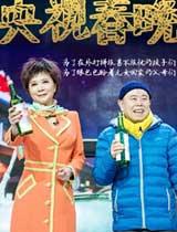 2015年春节联欢晚会相声小品集